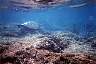 kauai032.jpg